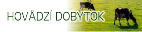 HOVÄDZÍ DOBYTOK